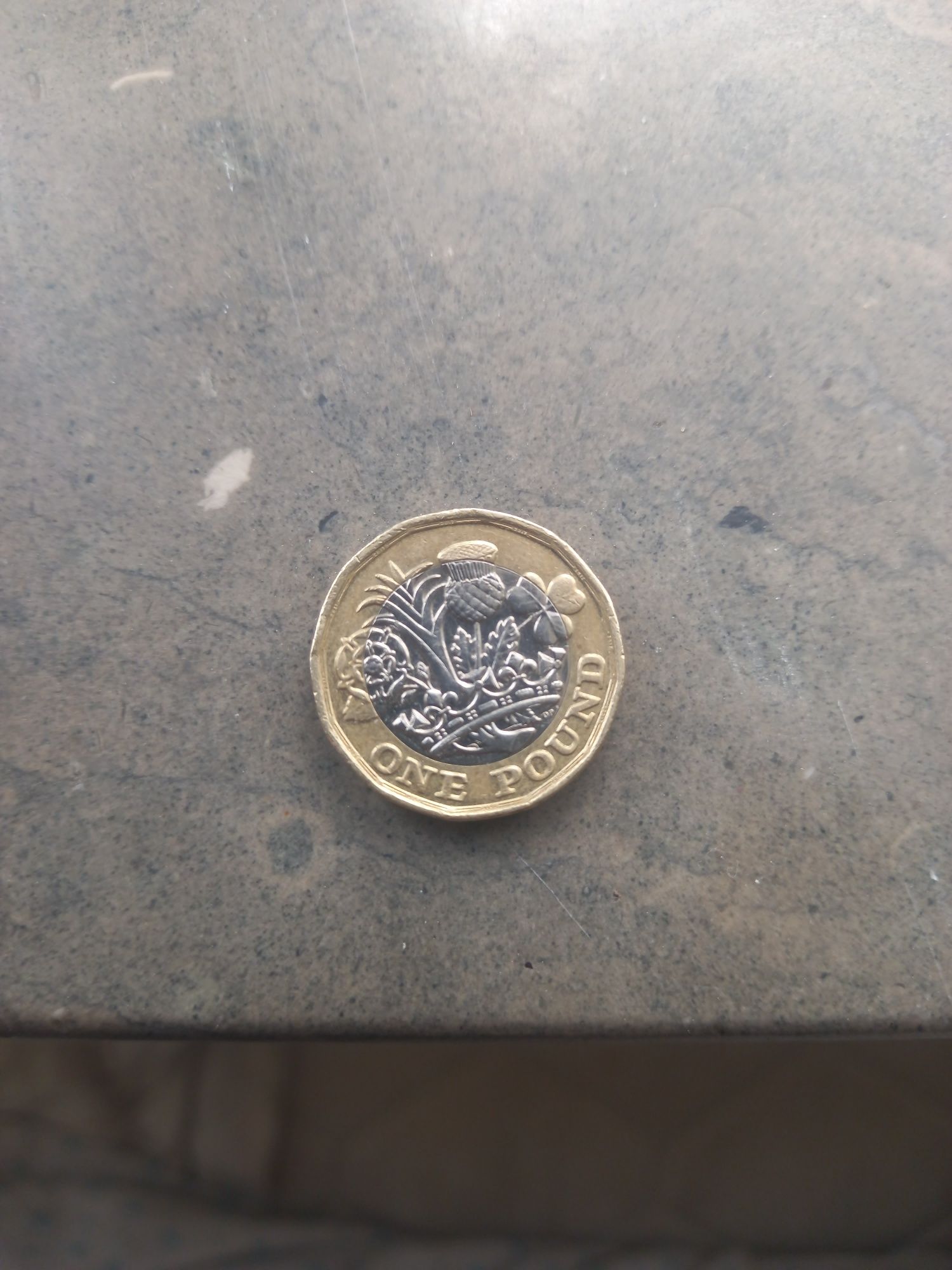 Moeda rara one pound Elizabeth II 2017