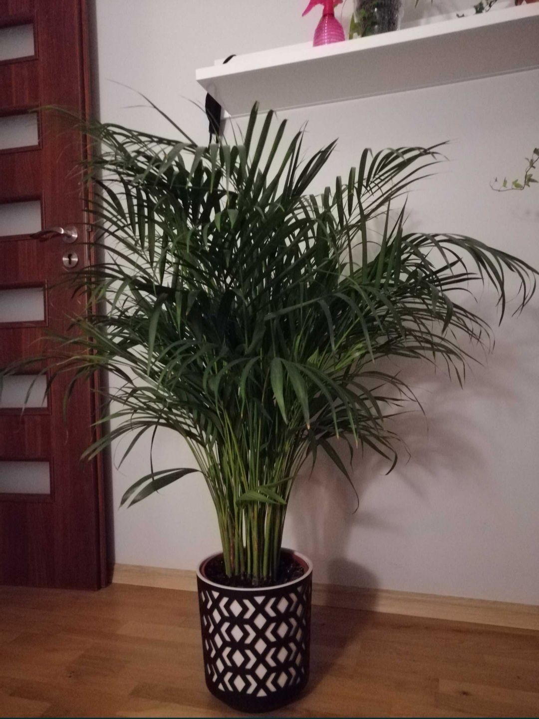 Leroymerlin AZTEK doniczka czarna pudrowy róż duża 25,5cm palma areka