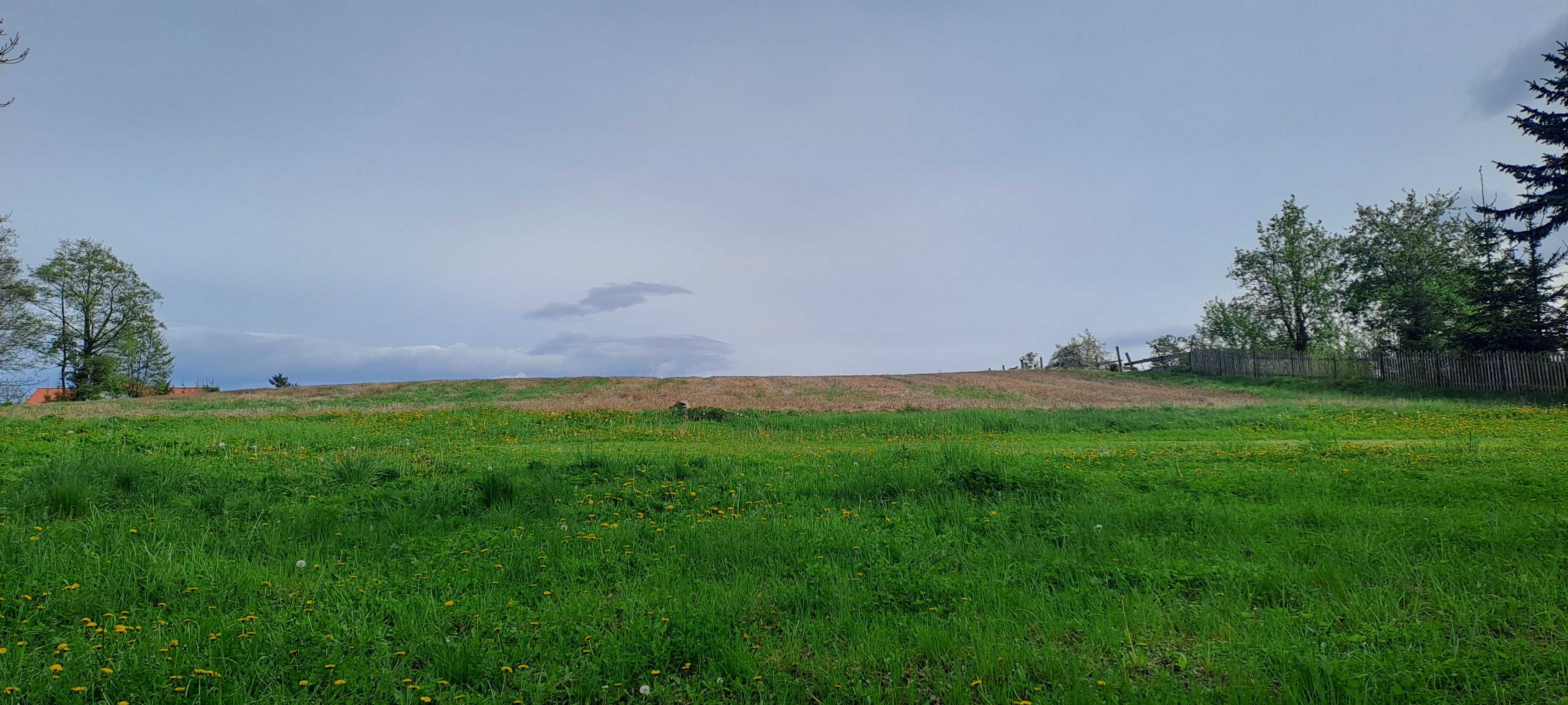 Atrakcyjna działka budowlana 3590 m2 w Strąkowej k. Ząbkowic Śląskich