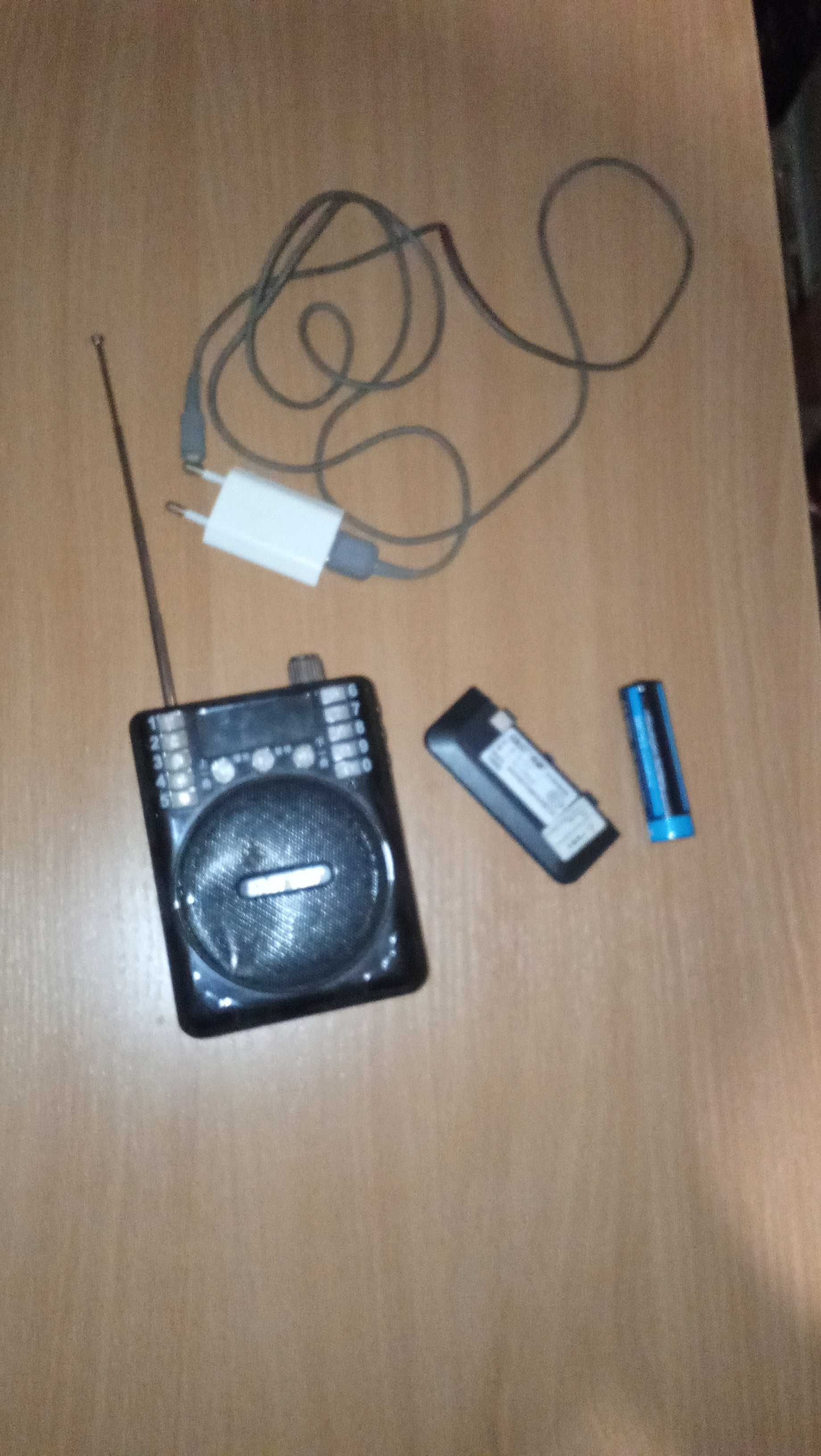 Портативная колонка SAST N-717 с USB, mini SD картой и FM-тюнером