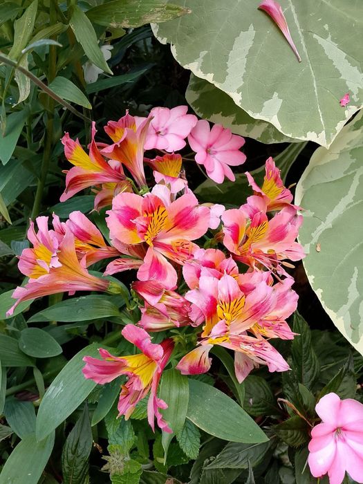 Сиделка для ваших родных.