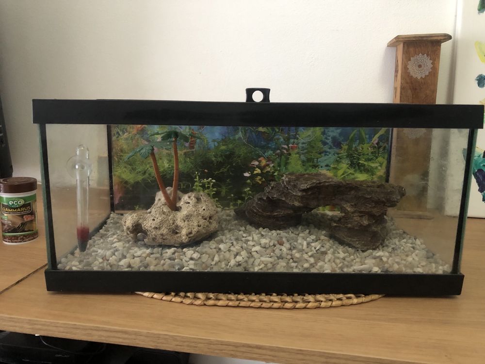 Terrário / Tartarugueira com acessórios