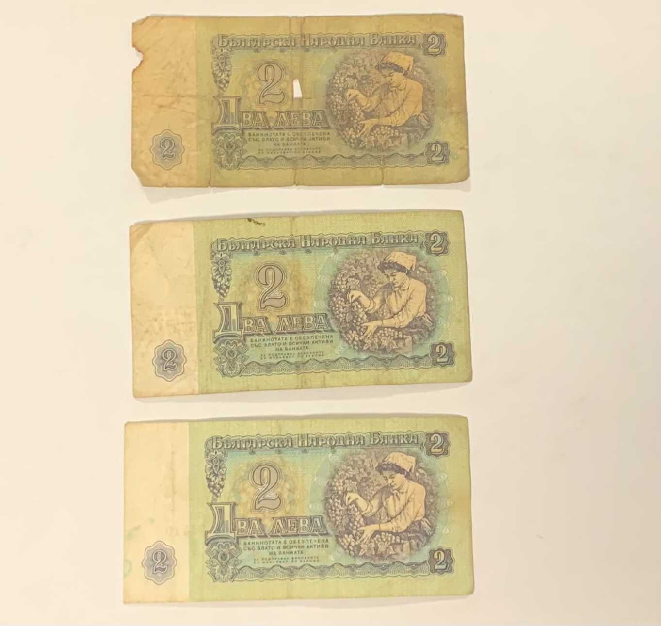 Banknoty Dwa Lewa