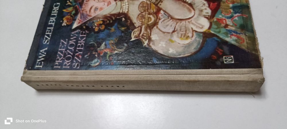 Książka przez różową szybkę Ewa szelburg zarembina