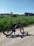 Rower górski MTB Scoot 20