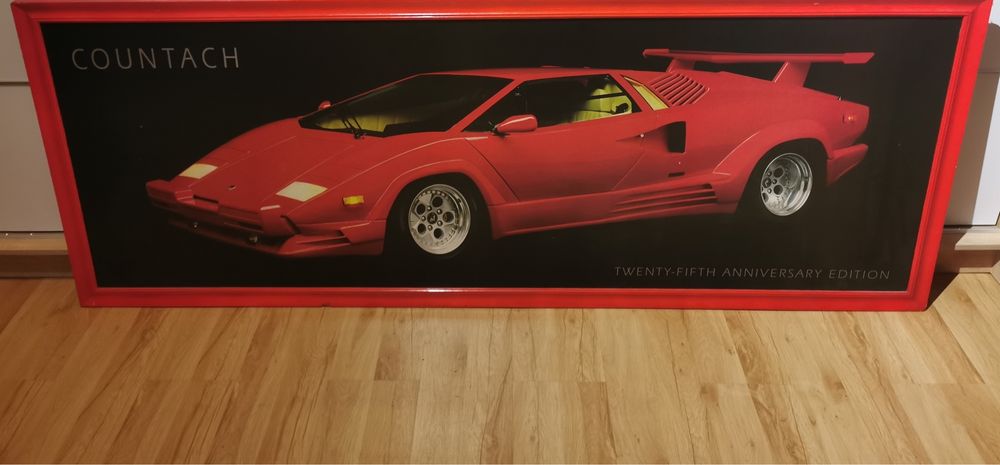 Piękny unikatowy obraz !