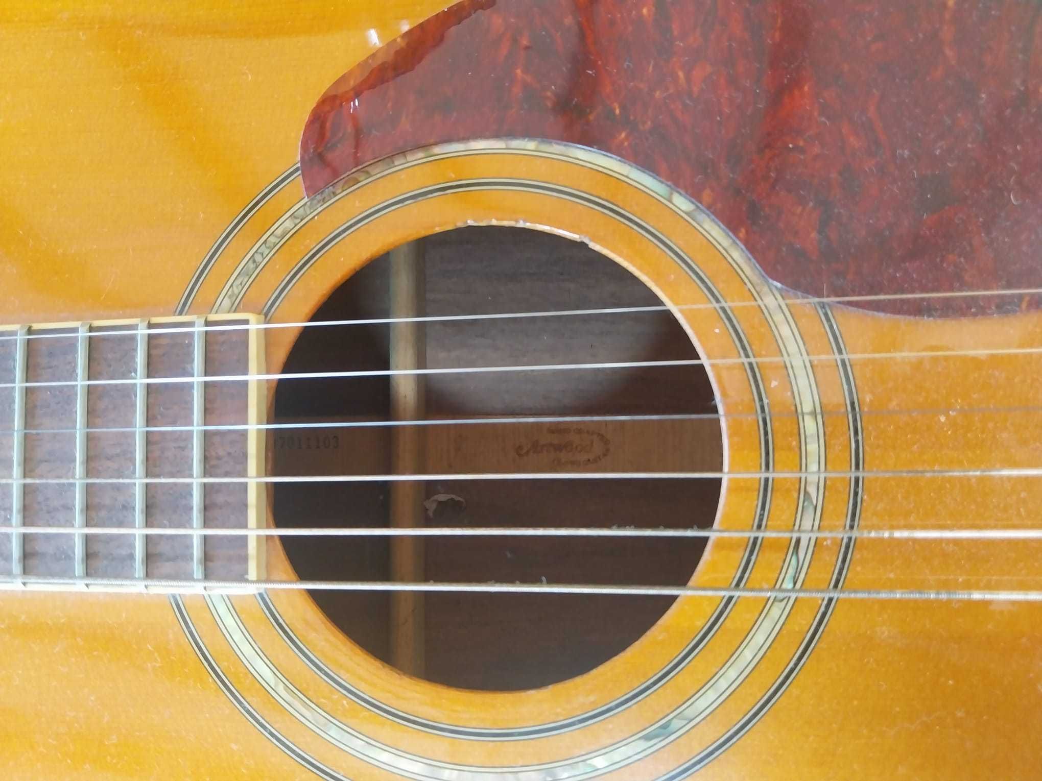 Ibanez Artwood AC900