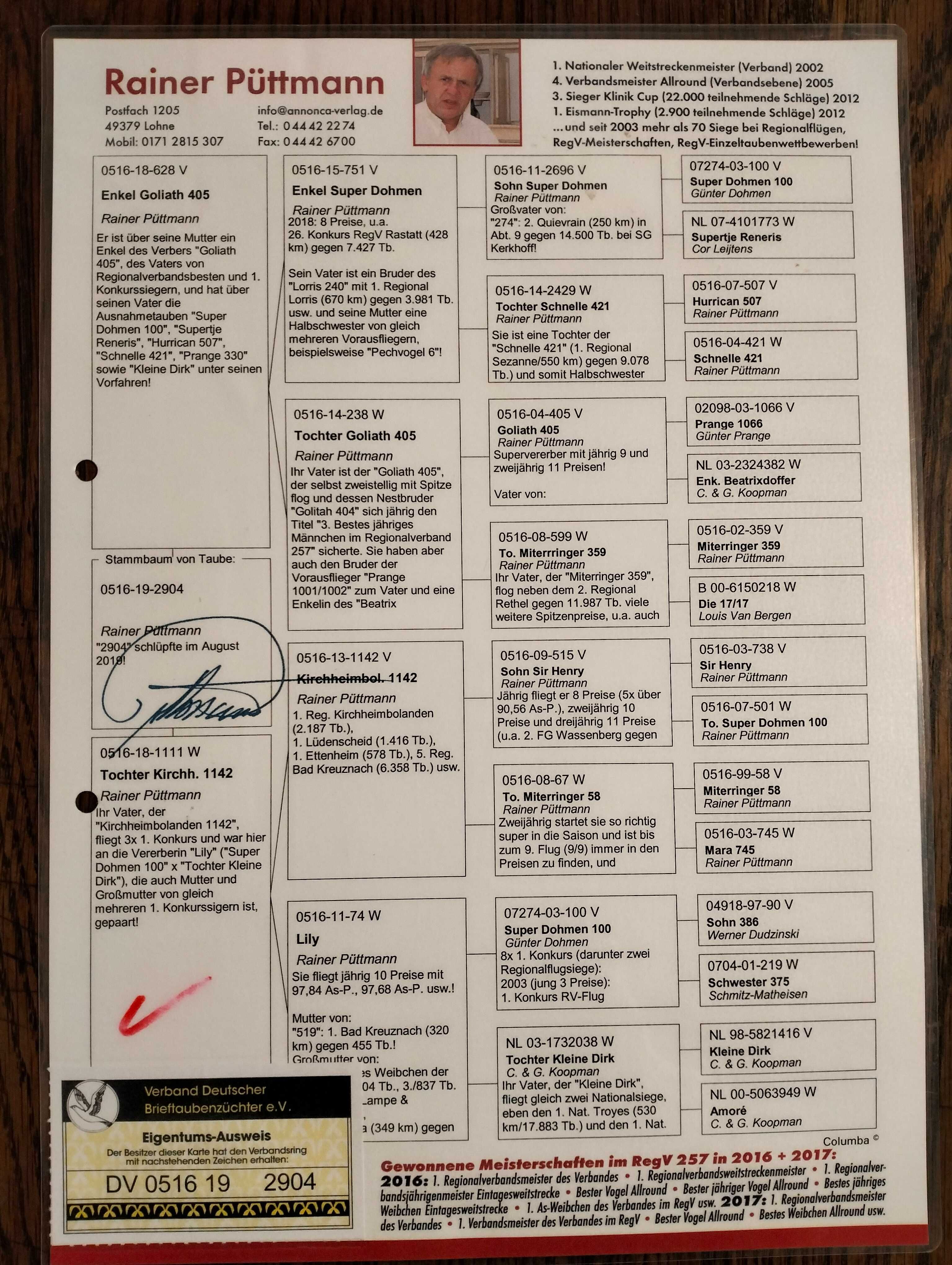 Gołębie pocztowe. Samiec DV Rainer Puttmann 2019. Oryginalny.