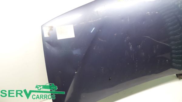 Capot RENAULT Scénic I (JA0/1_)