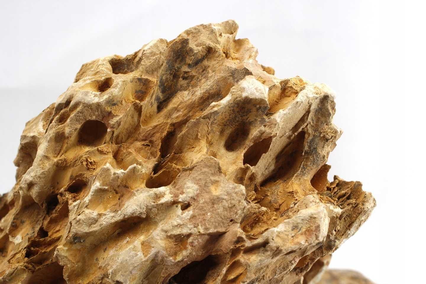Skała Dragon Stone Kamień do Akwarium lub Terrarium 2kg