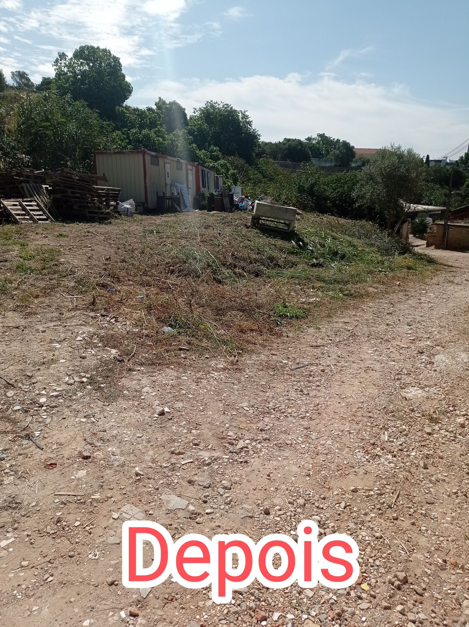 Trabalhos de jardinagem