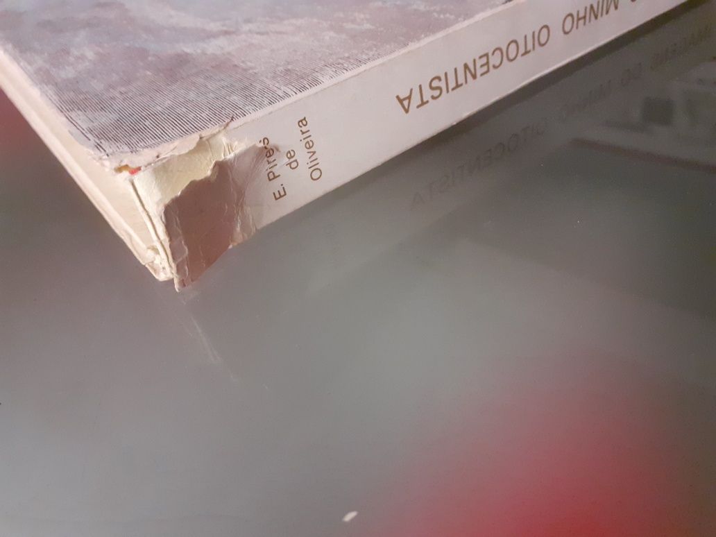 Livro  "As imagens do minho oitocentista "