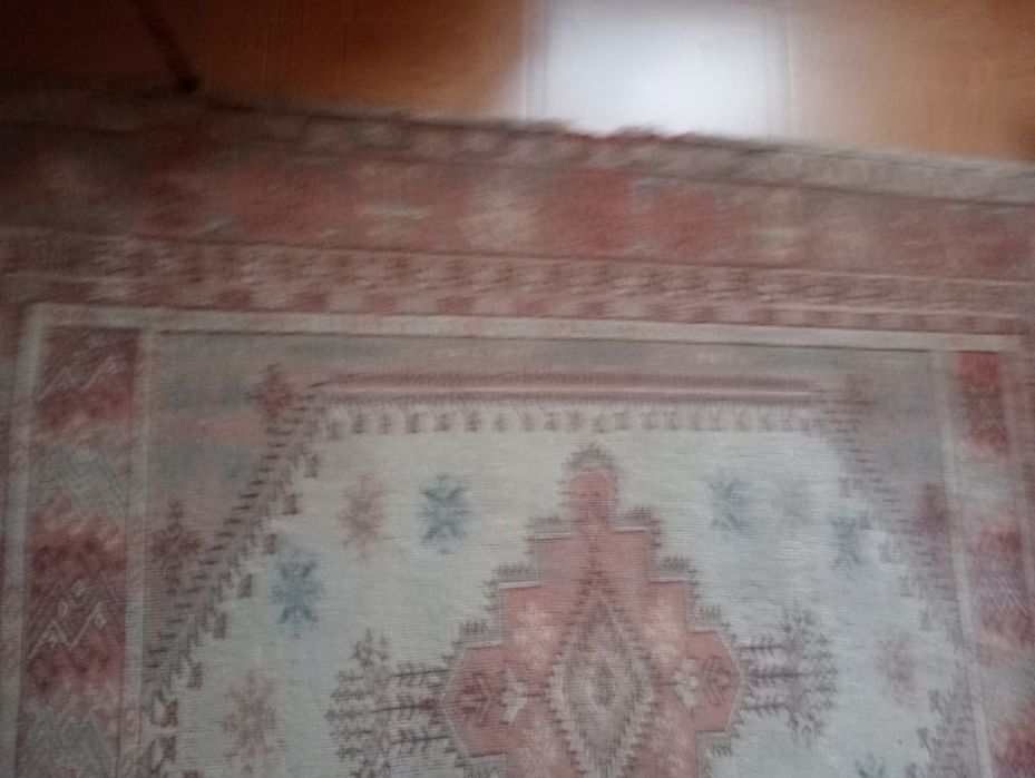 Tapete de sala um clássico que combina com tudo _- De lã e algodão