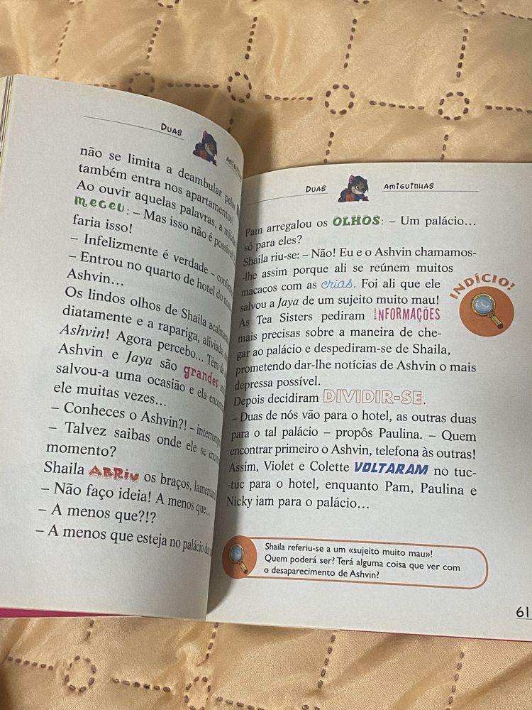 Tea stilton: A esmeralda do principe indiano