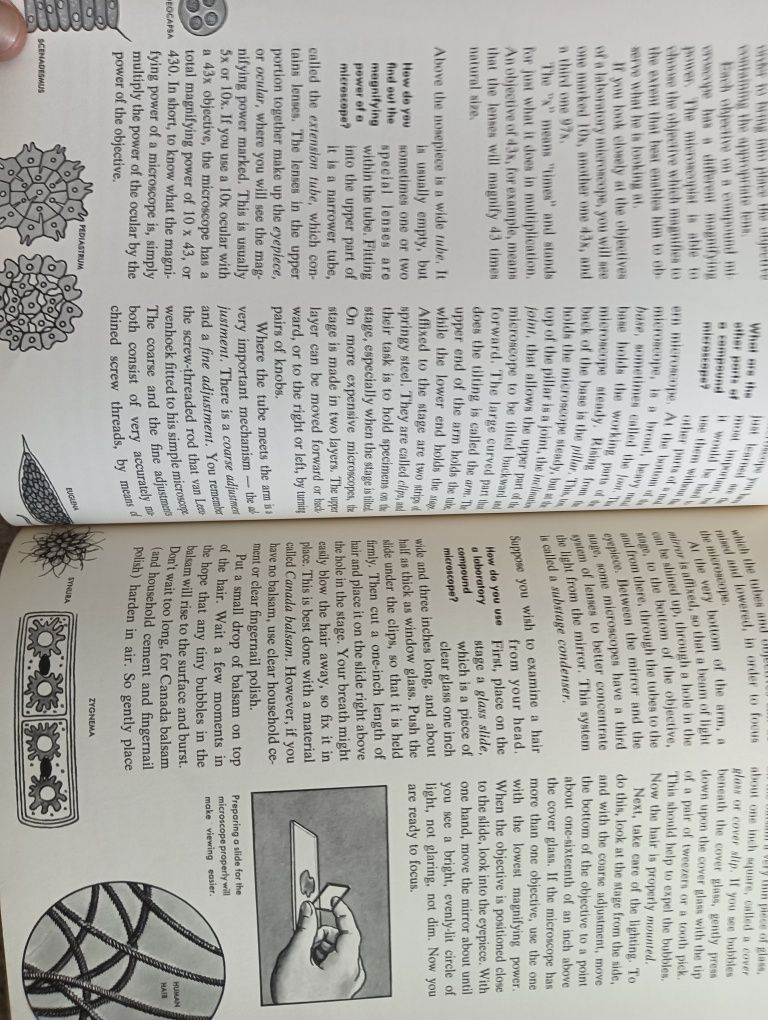 Magnets and Magnetism / Microspcope /  Machines 	1971