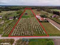 *Działka Kocerany - 4,72 ha - Blisko S7 **