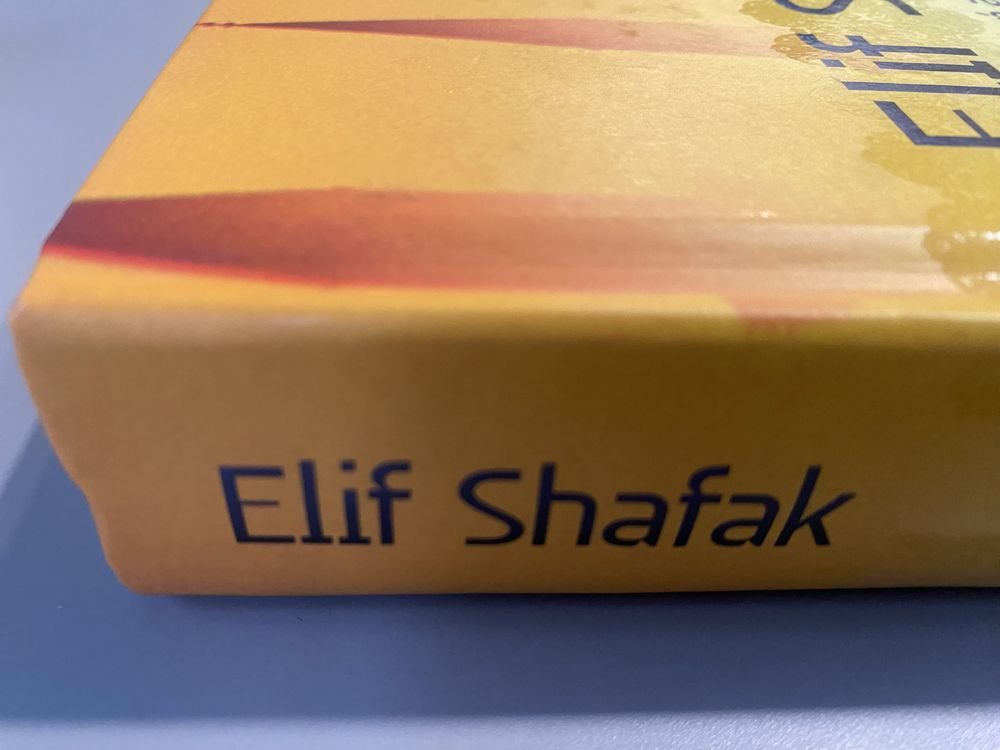 Elif Shafak Uczeń Architekta ksiazka