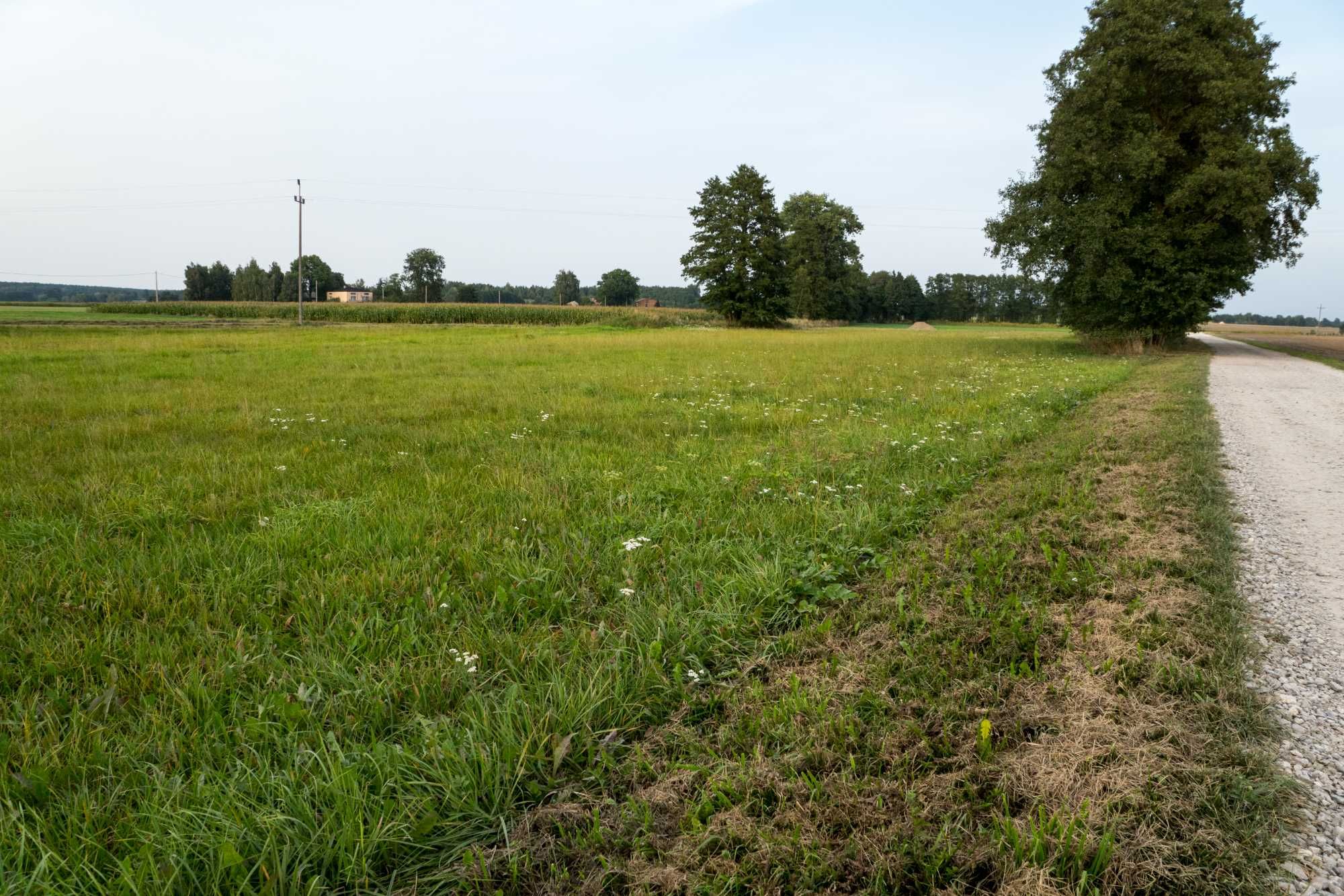 Działka budowlana 48 arów w miejscowości Hucisko