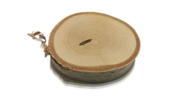 Plaster drewna krążki brzoza 17-20cm szlifowane