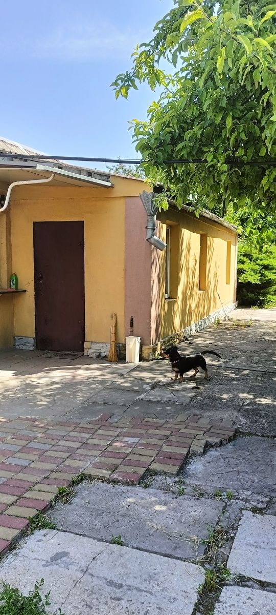 Дом, отдельностоящий,  90 кв., Братское, Новоалександровка 8 км до гор