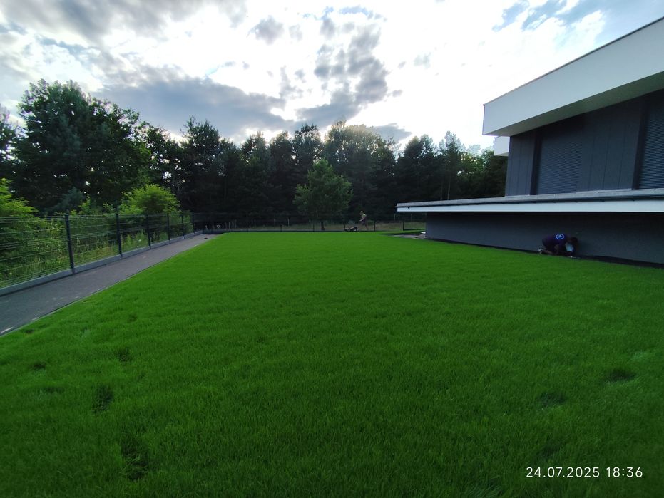 Zakładanie Trawnika Zakładanie Ogrodów Wycinka Drzew Glebogryzarka