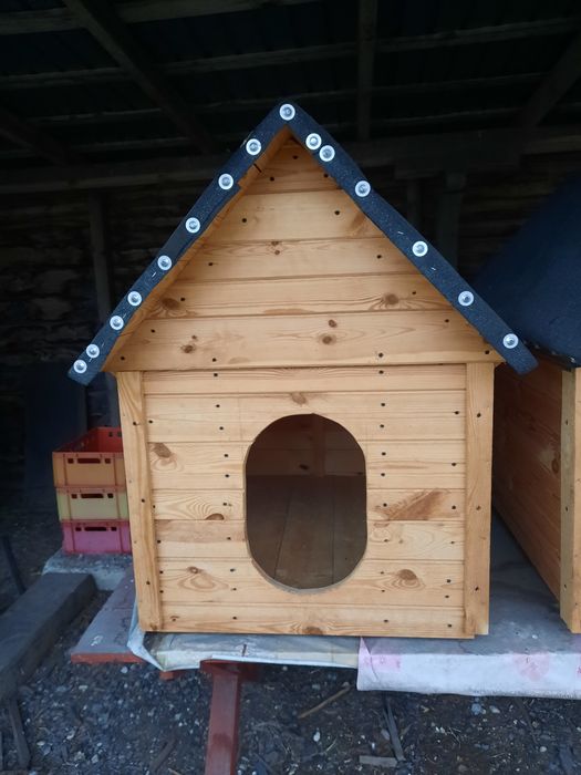 Buda dla psa domek