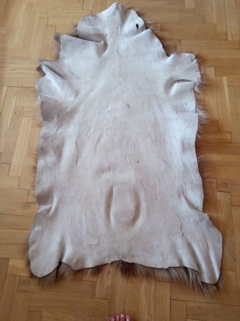 Skóra z owcy islandzkiej 136 x 85