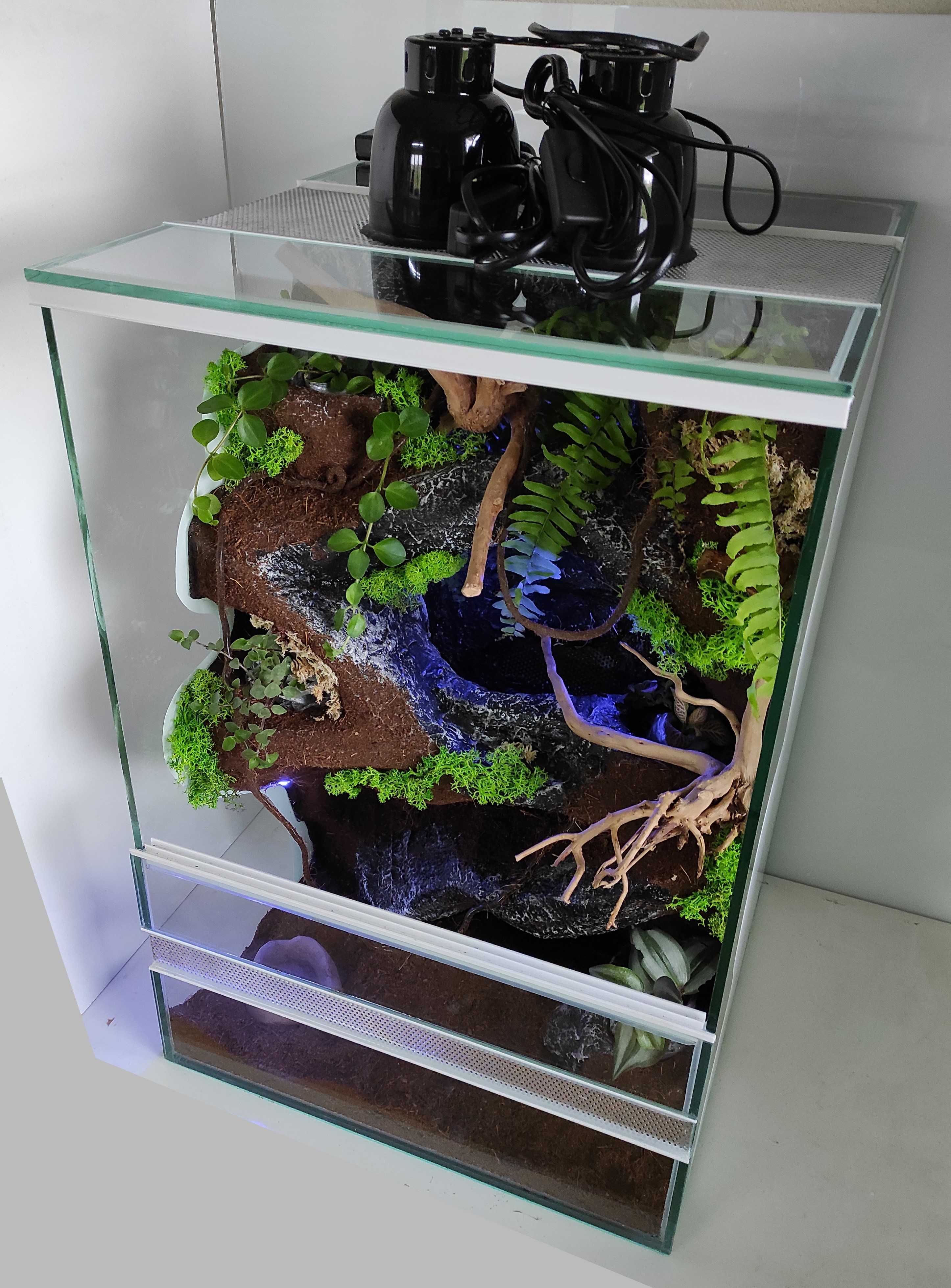 Terrarium dla felsumy madagaskarskiej, TW65STL, AquaWaves