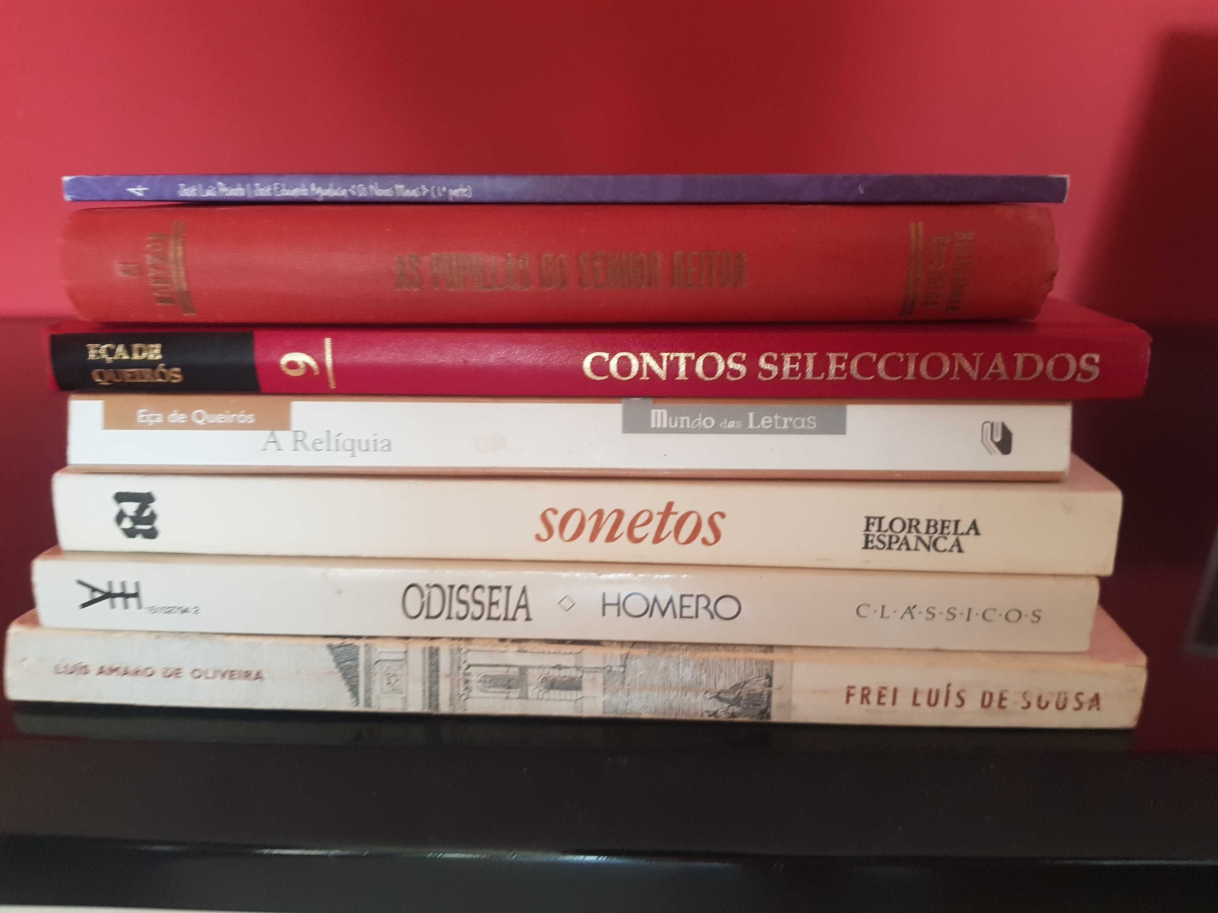 Obras de Poesia, Florbela Espanca, Eca Queiroz, Omero, etc