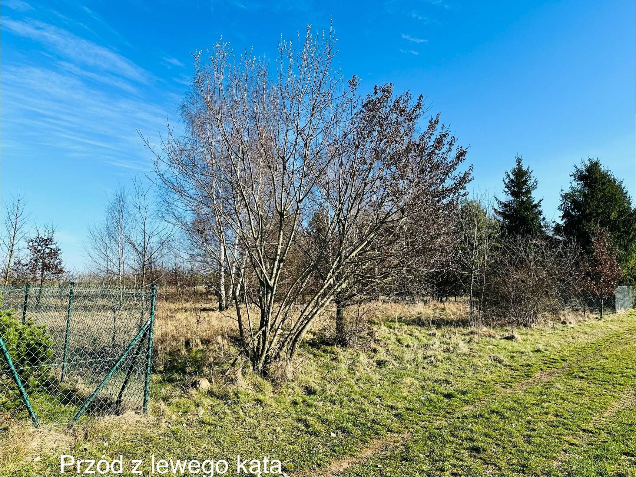 Działka 1000m2 Siedlątków, 600m do Jeziorska