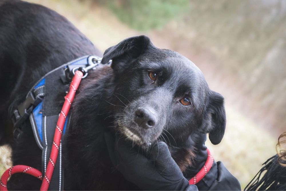 Czy moge liczyc na Twoja milosc i cieply kat? Tobi