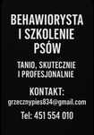 Behawiorysta i Szkolenie Psów