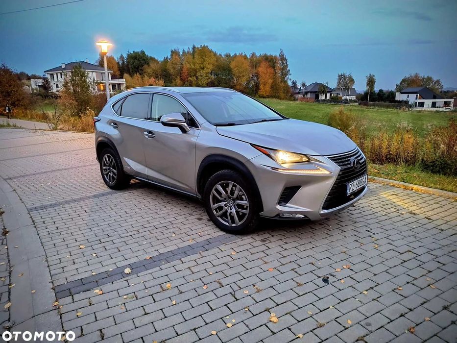 Lexus NX NX300H LPG 2019 cesja leasingu