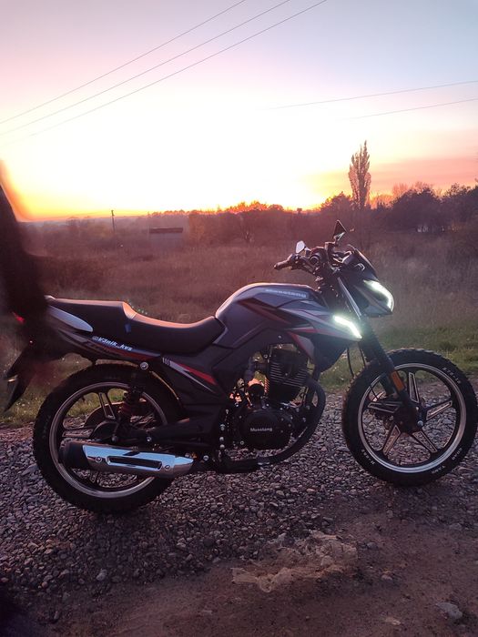 Мустанг фортуна 200