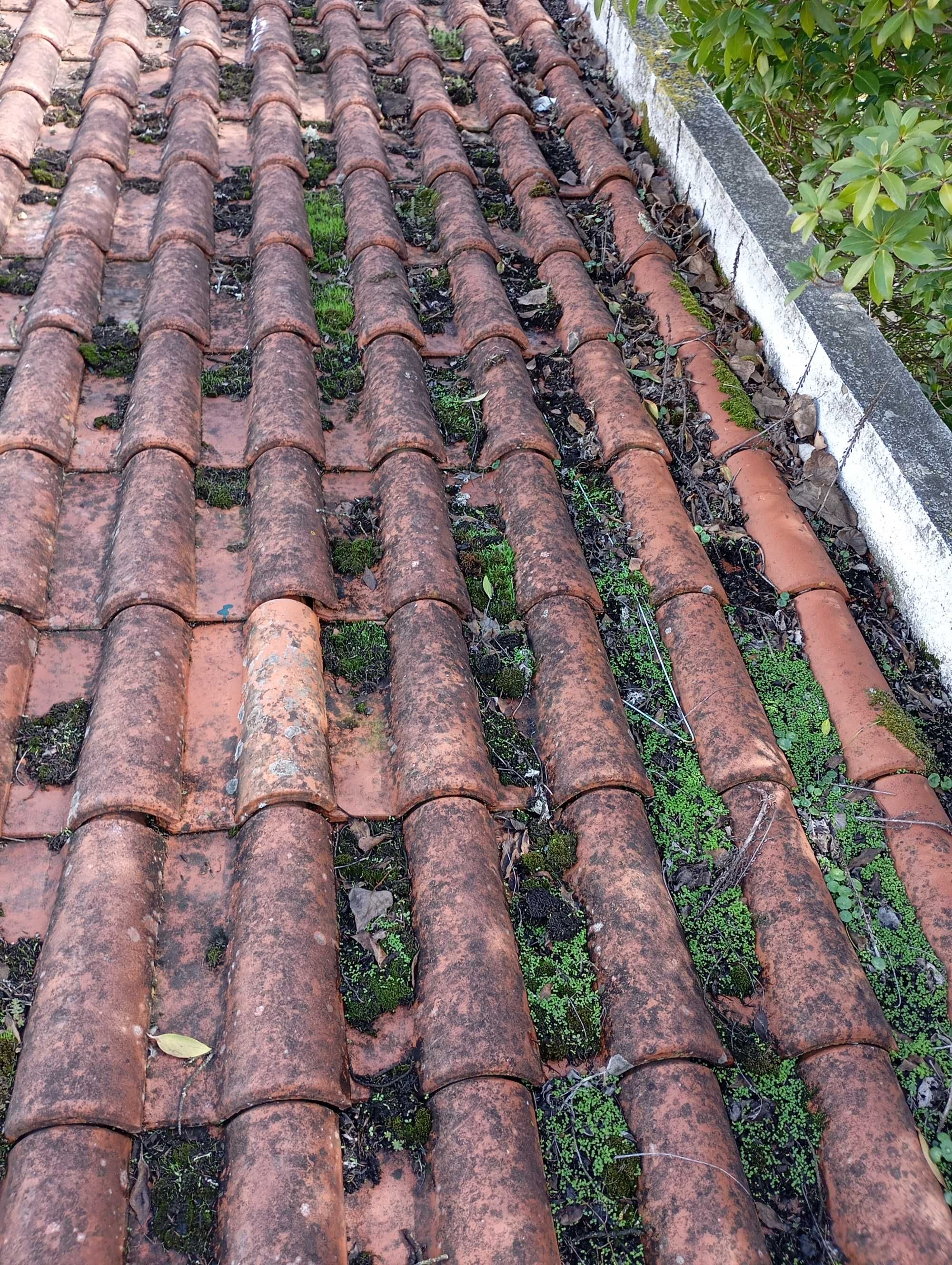 Limpeza de Telhados