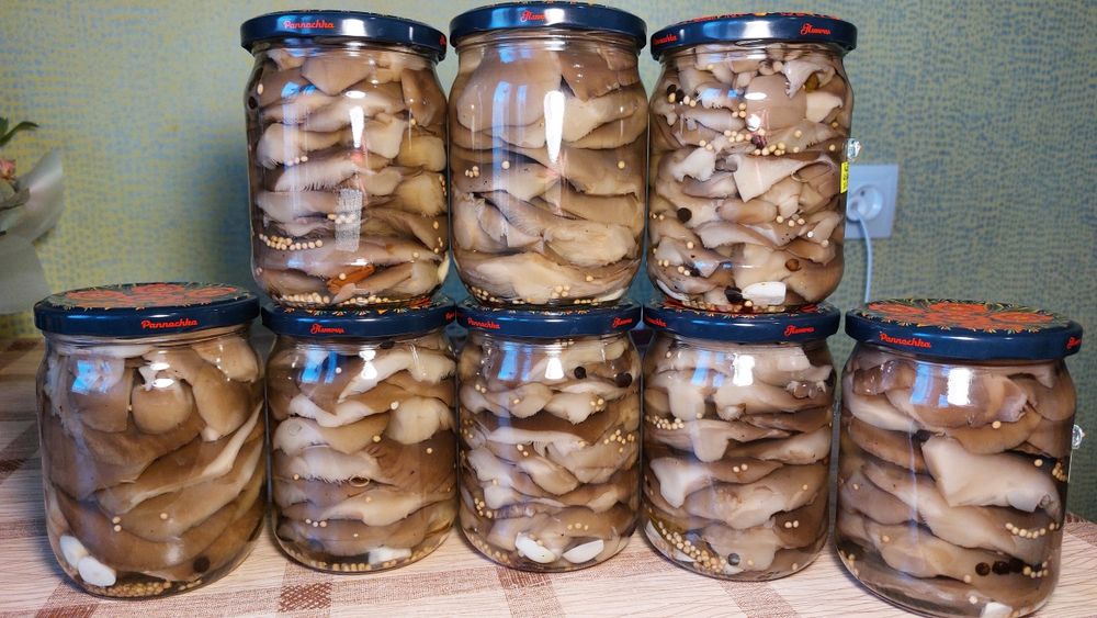 Гриби в асортименті мар. 2025 року