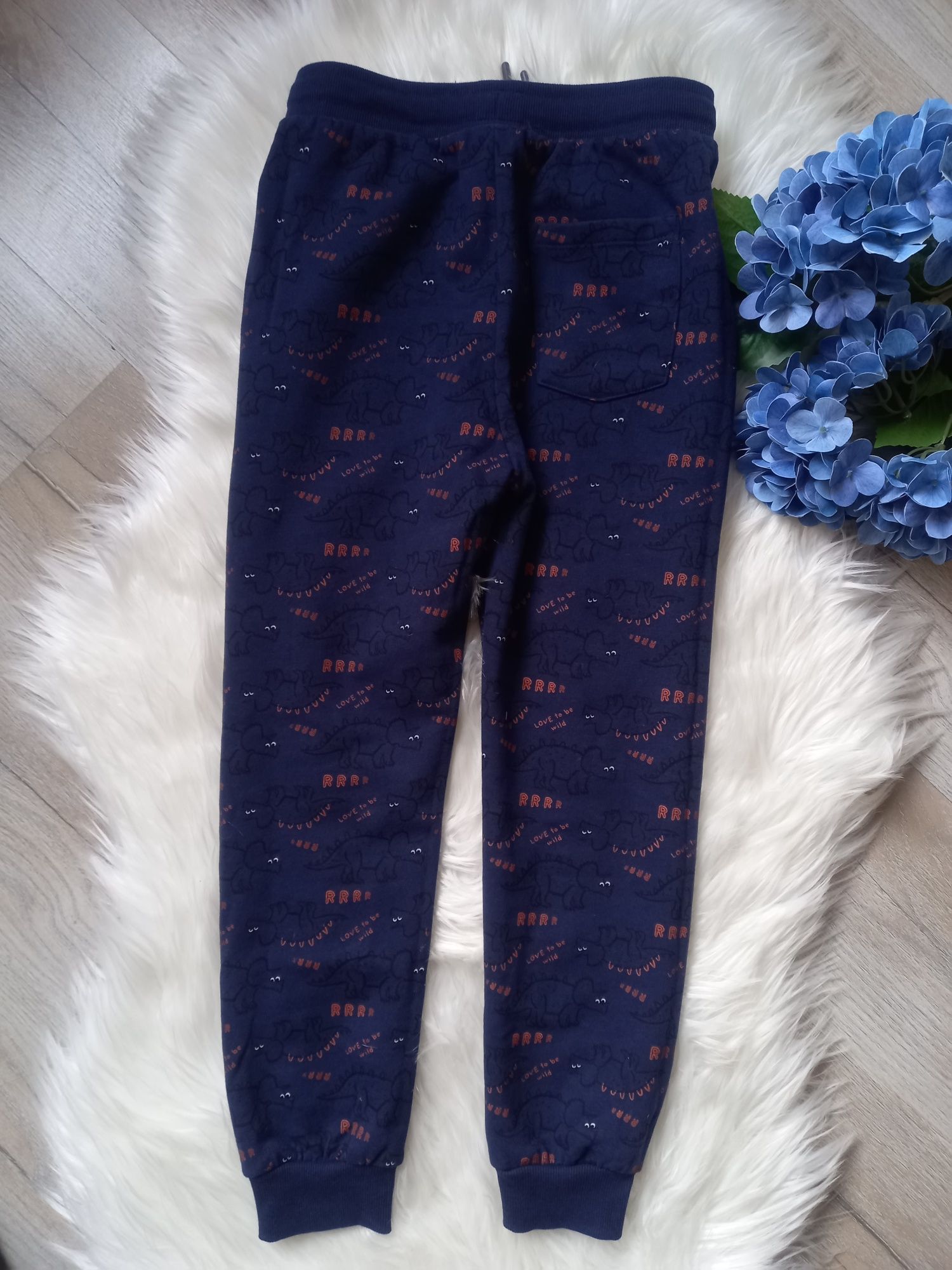 Spodnie dresowe Cool Club Smyk roz 140 cm dinozaury ocieplane 10 lat