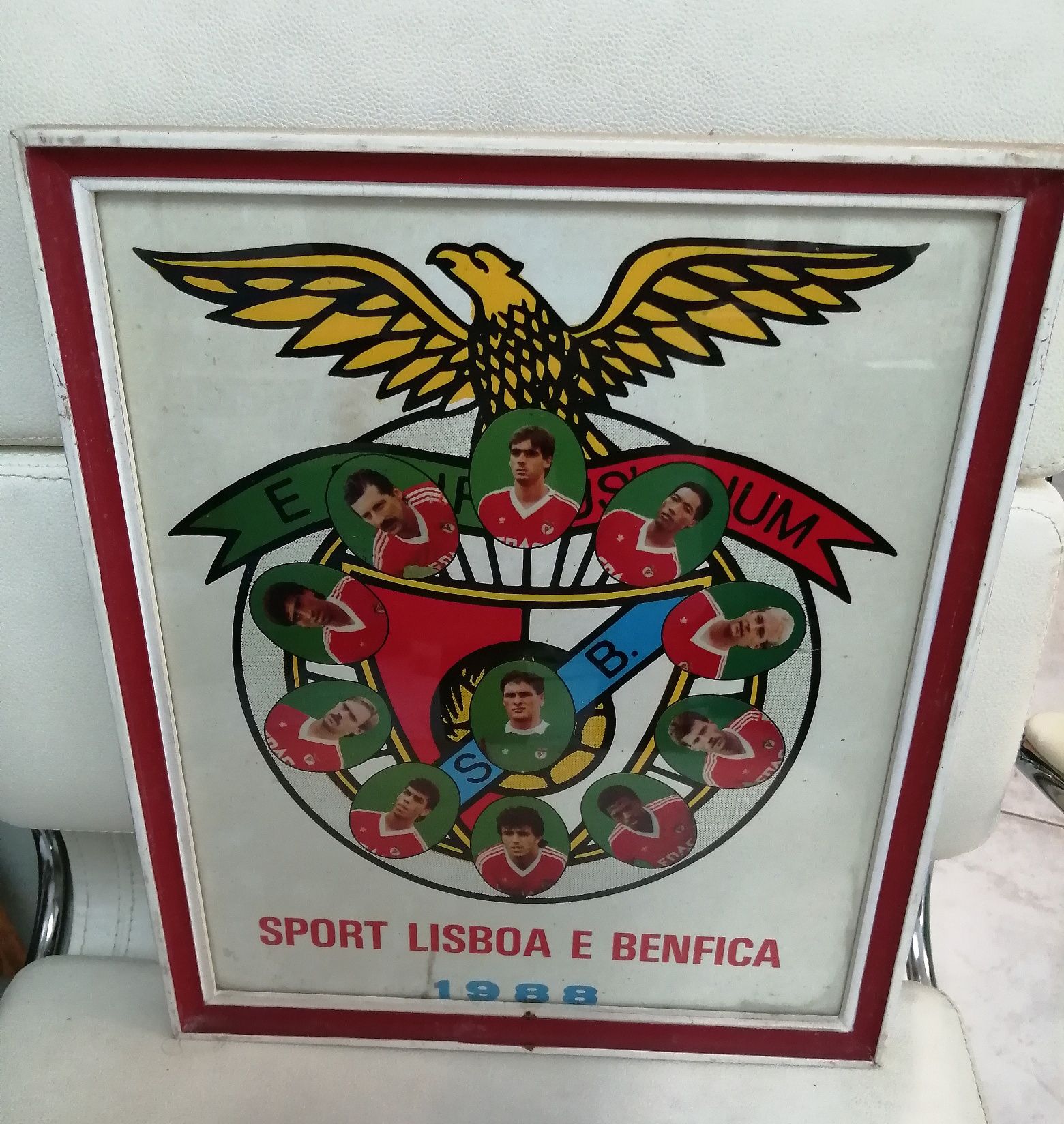 Quadro Benfica 1988