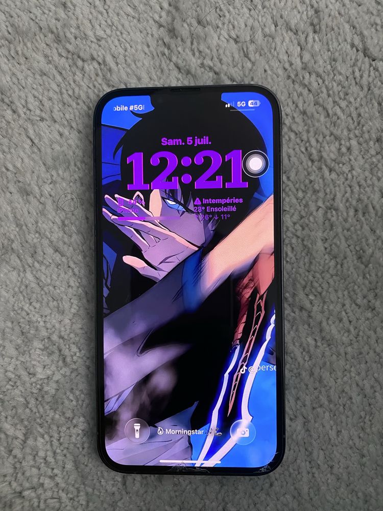 Iphone13pro 10/10