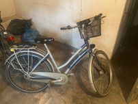 Rower holenderski Gazelle Xanta