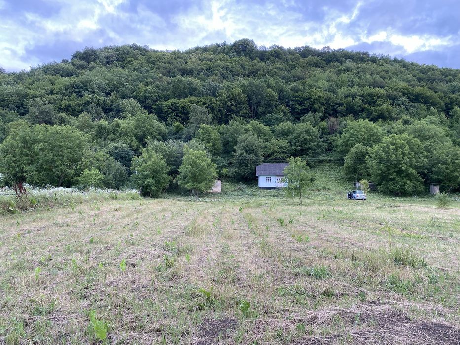 Дністер Будинок Земельна ділянка