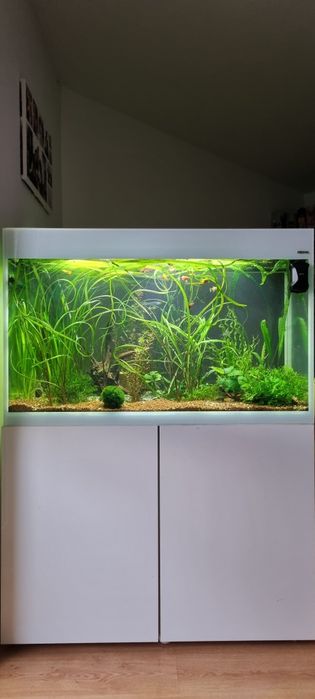 Aquel glossy 100 z szafką  i życiem