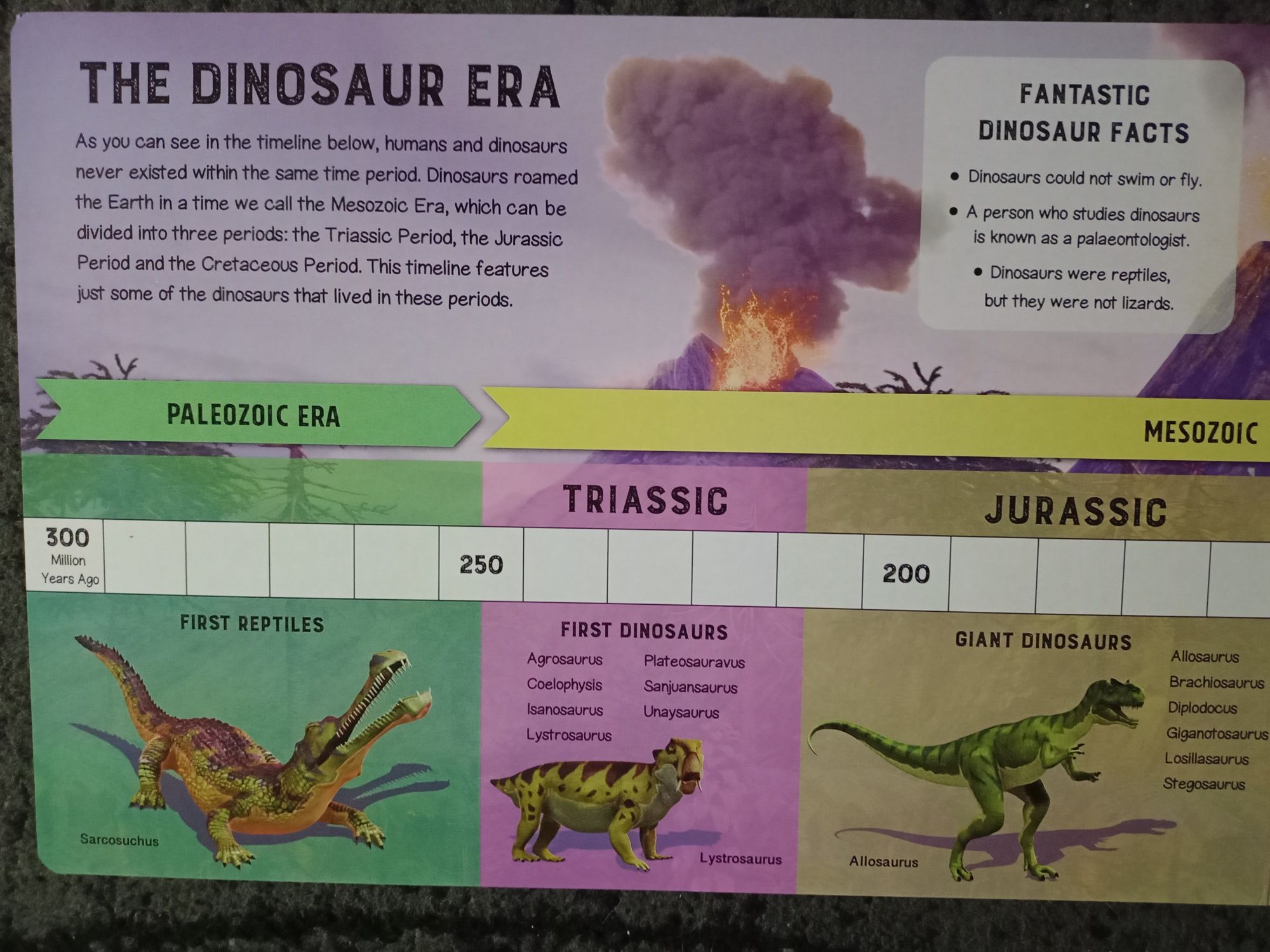 Książka o dinozaurach  w języku angielskim z puzzlami.