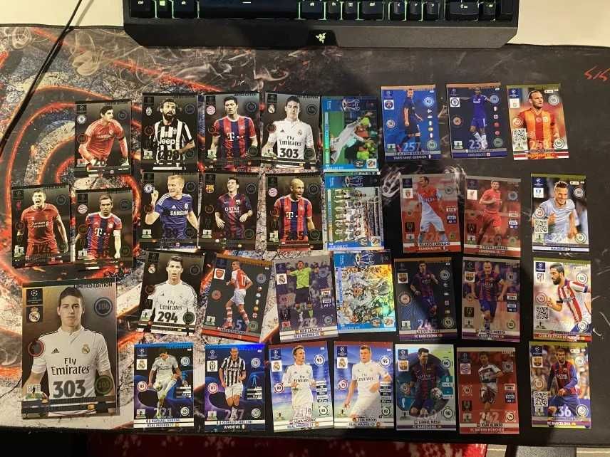 Album + 31 Unikatowych Kart PANINI 2014 - 2015