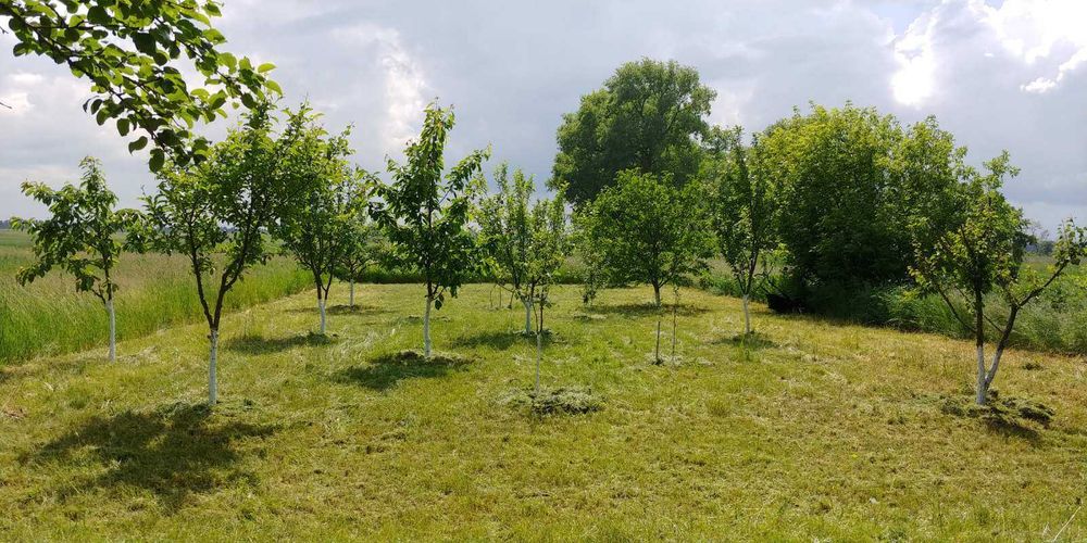 Будинок з ділянкою в селі Красилівка