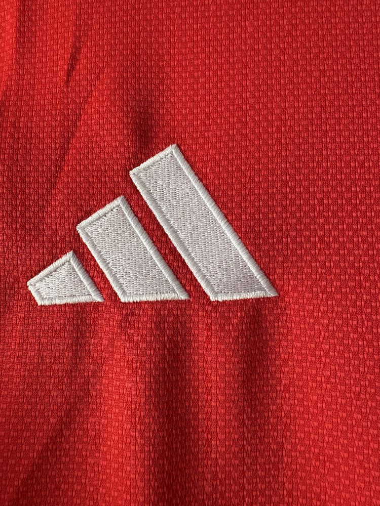 Camisola SL Benfica principal 25/26
