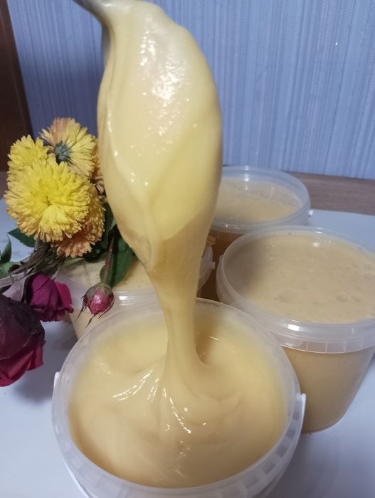 Мед буркун (донник) 2025