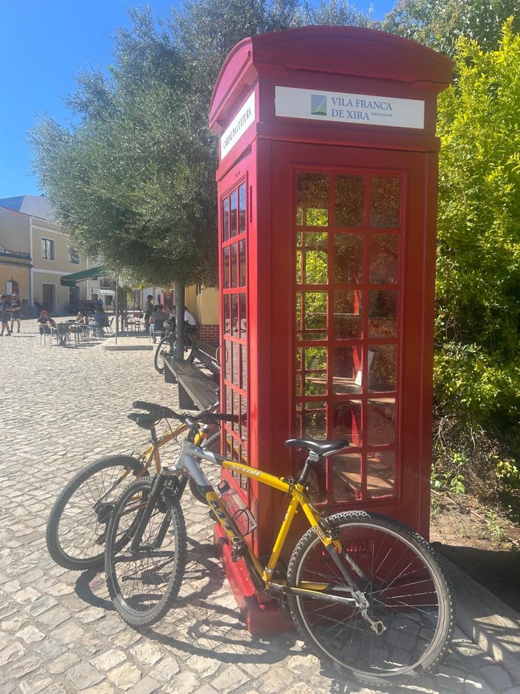 Lote bicicletas revisionadas