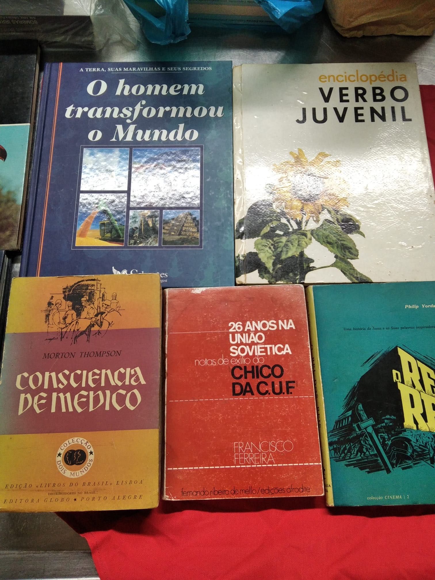 Lote livros vários