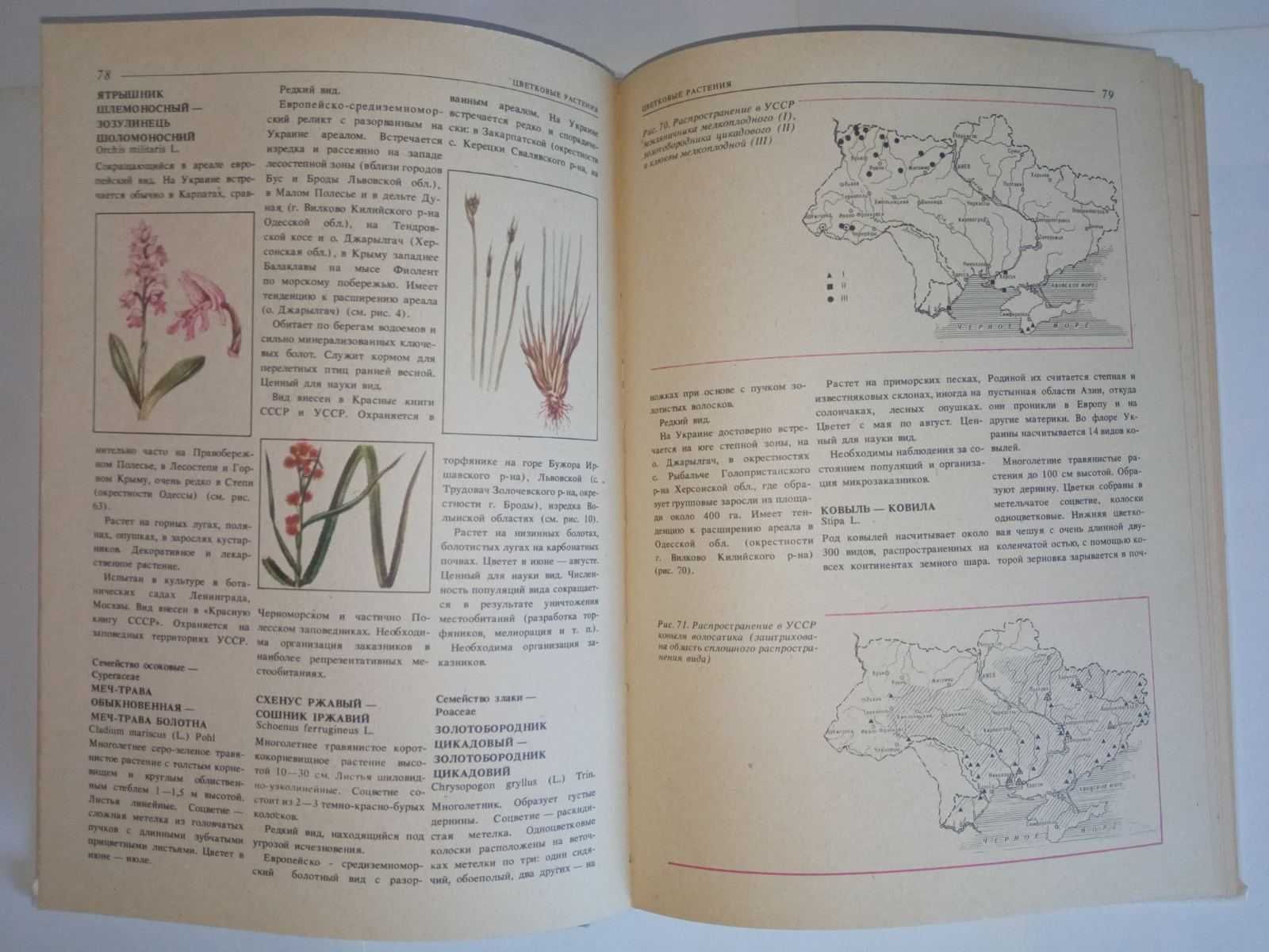 Редкие и исчезающие растения и животные Украины